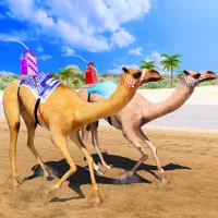 मार्कड रेसिंग 2024